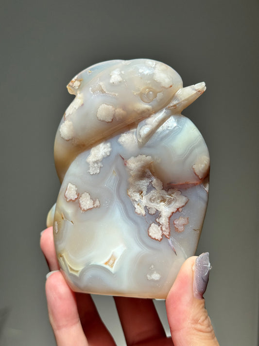 Sugar Druzy Flower Agate Dolphin