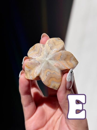 Pink Lace Agate Flower Carvings (A–E)