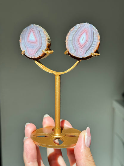 Zhanguo Agate Pairs on Stand