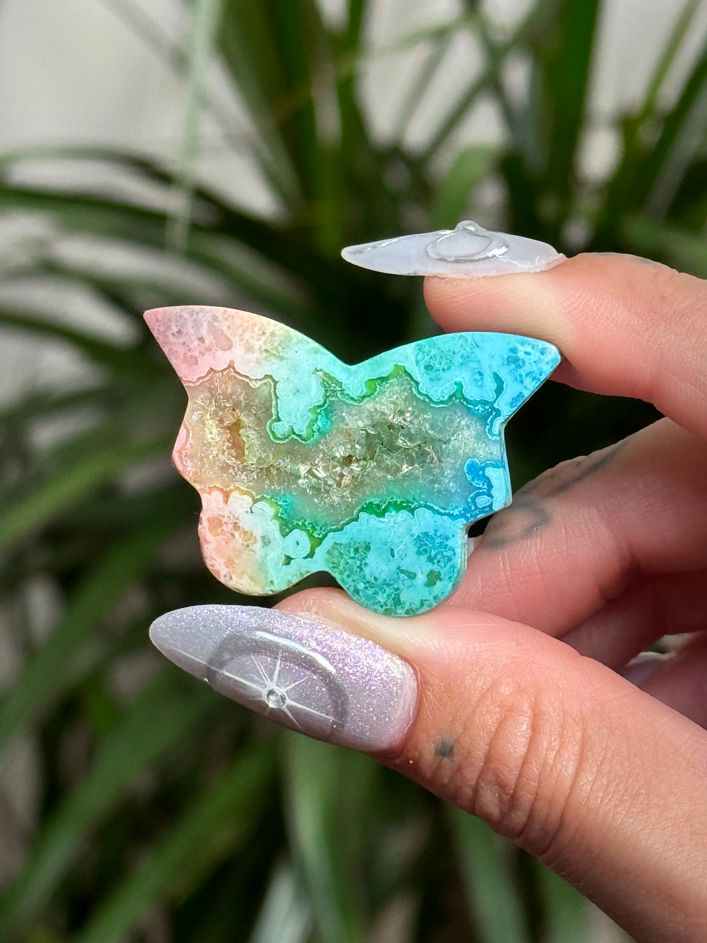 Dyed Rainbow Agate Butterfly - F