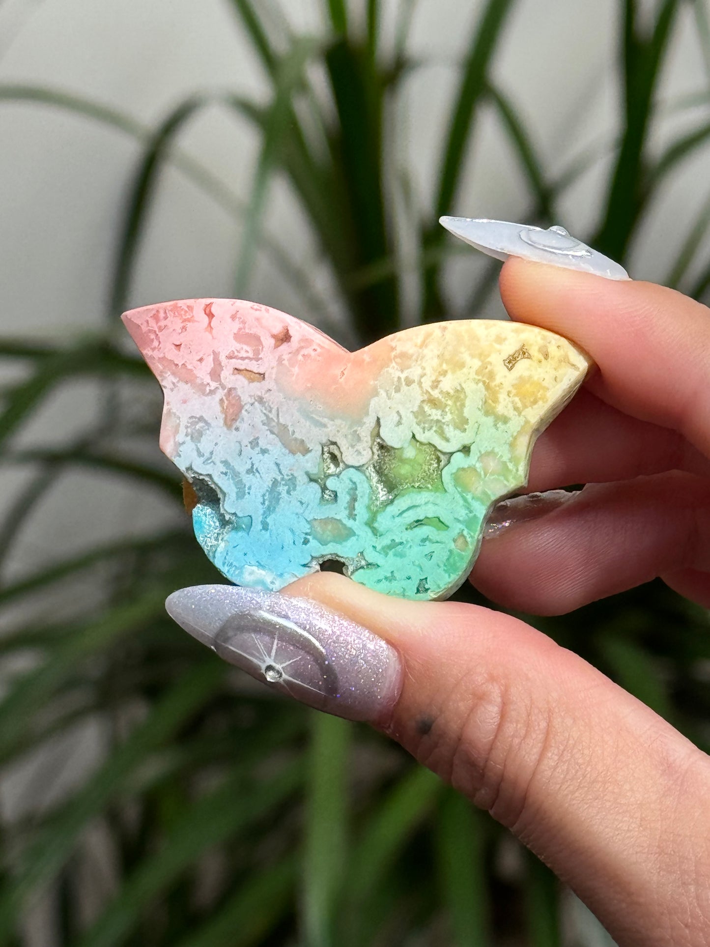 Dyed Rainbow Agate Butterfly - D