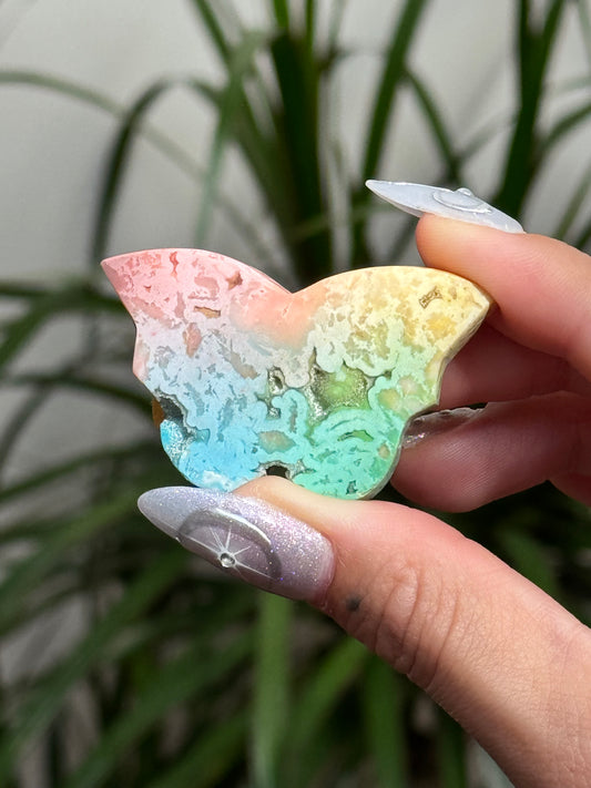 Dyed Rainbow Agate Butterfly - D