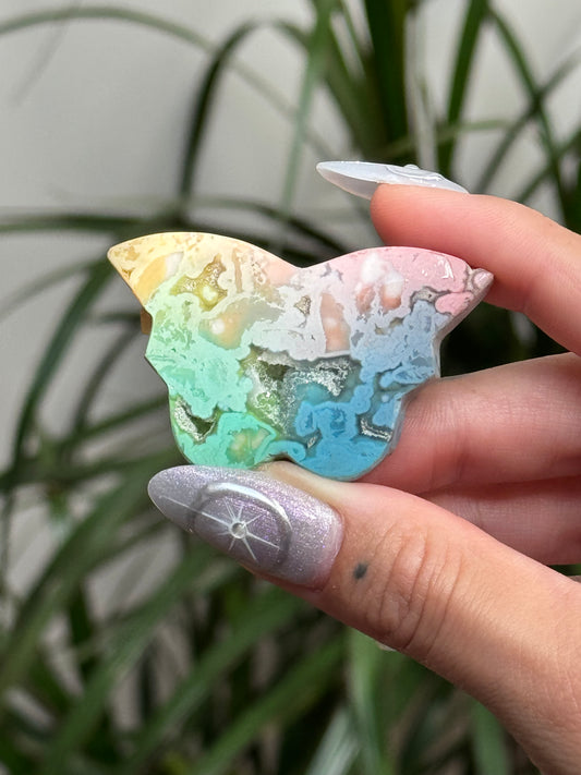 Dyed Rainbow Agate Butterfly - A