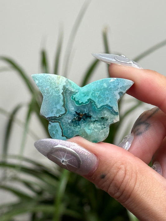 Dyed Rainbow Agate Butterfly - E