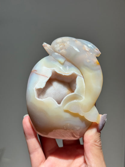Sugar Druzy Flower Agate Dolphin