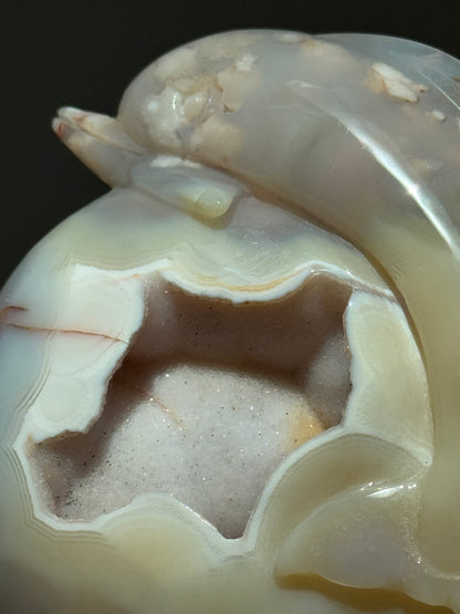 Sugar Druzy Flower Agate Dolphin