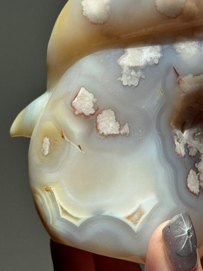 Sugar Druzy Flower Agate Dolphin
