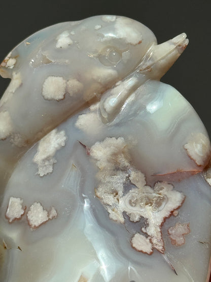 Sugar Druzy Flower Agate Dolphin