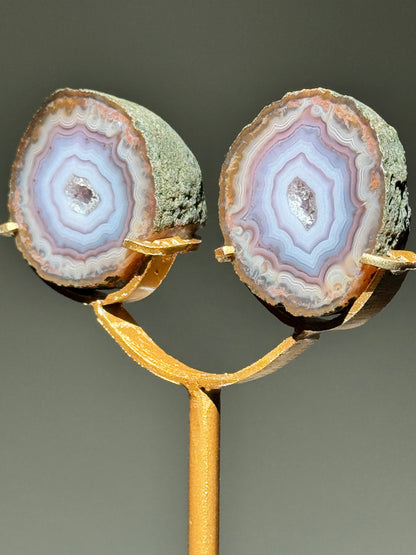Zhanguo Agate Pairs on Stand