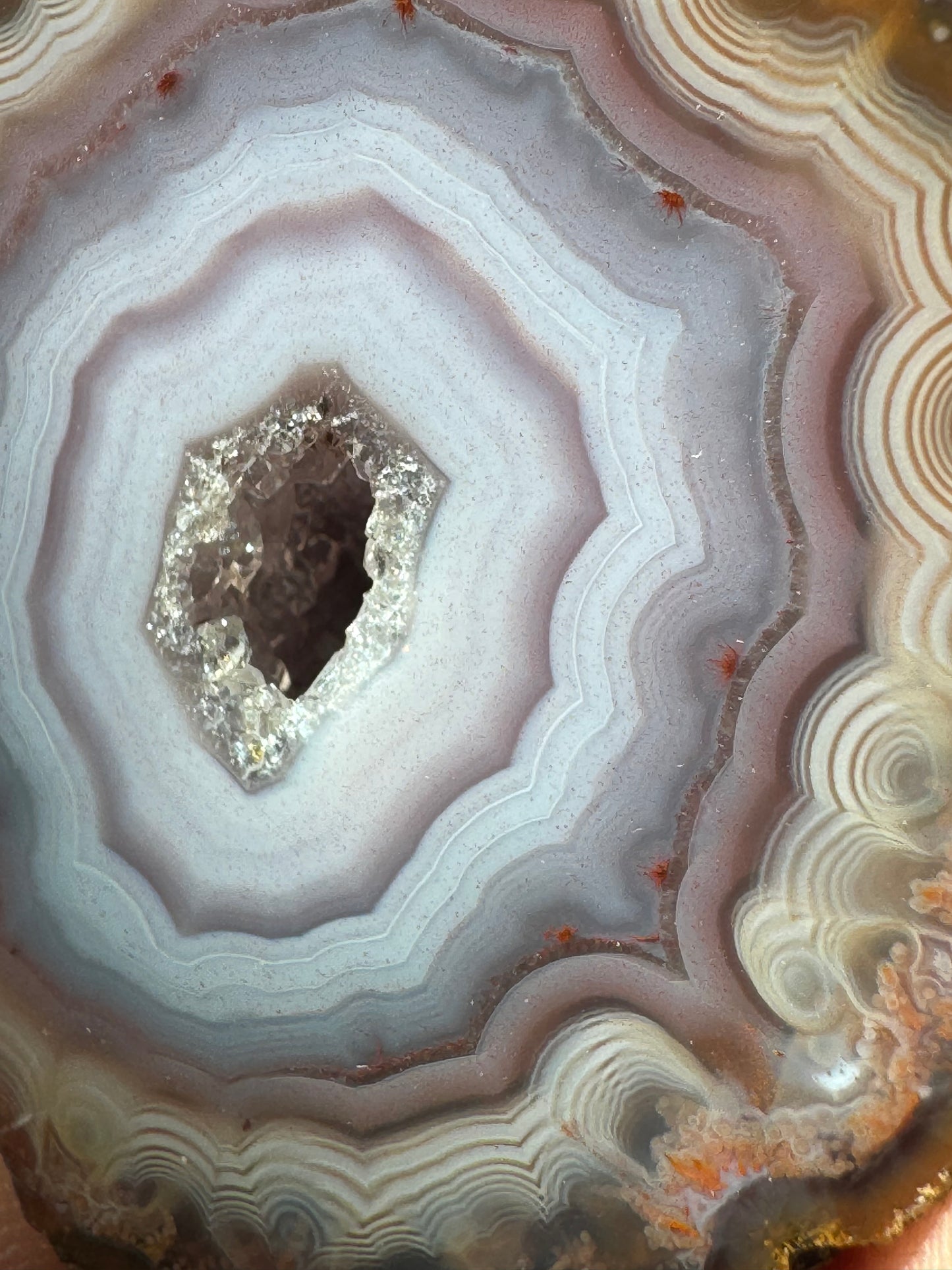 Zhanguo Agate Pairs on Stand