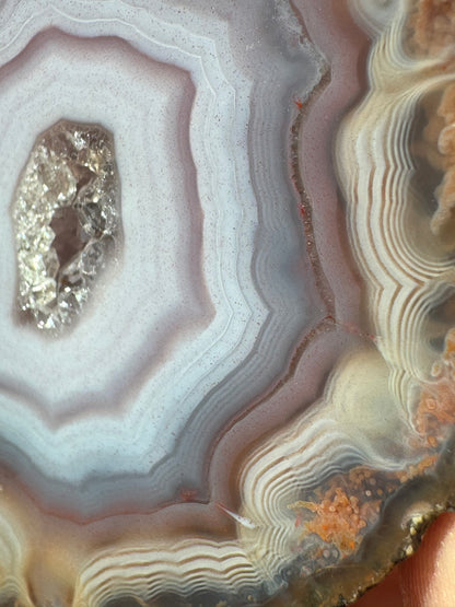 Zhanguo Agate Pairs on Stand