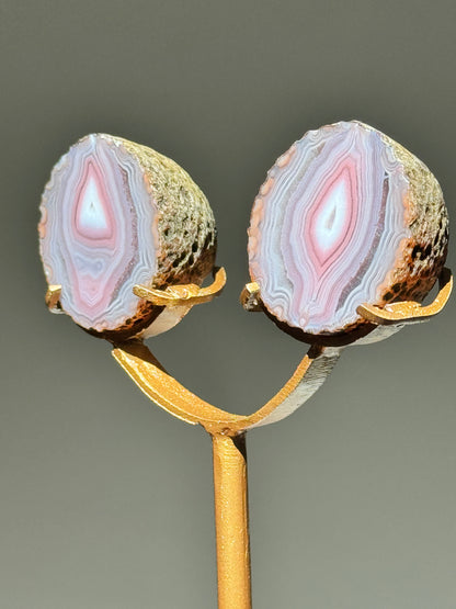 Zhanguo Agate Pairs on Stand