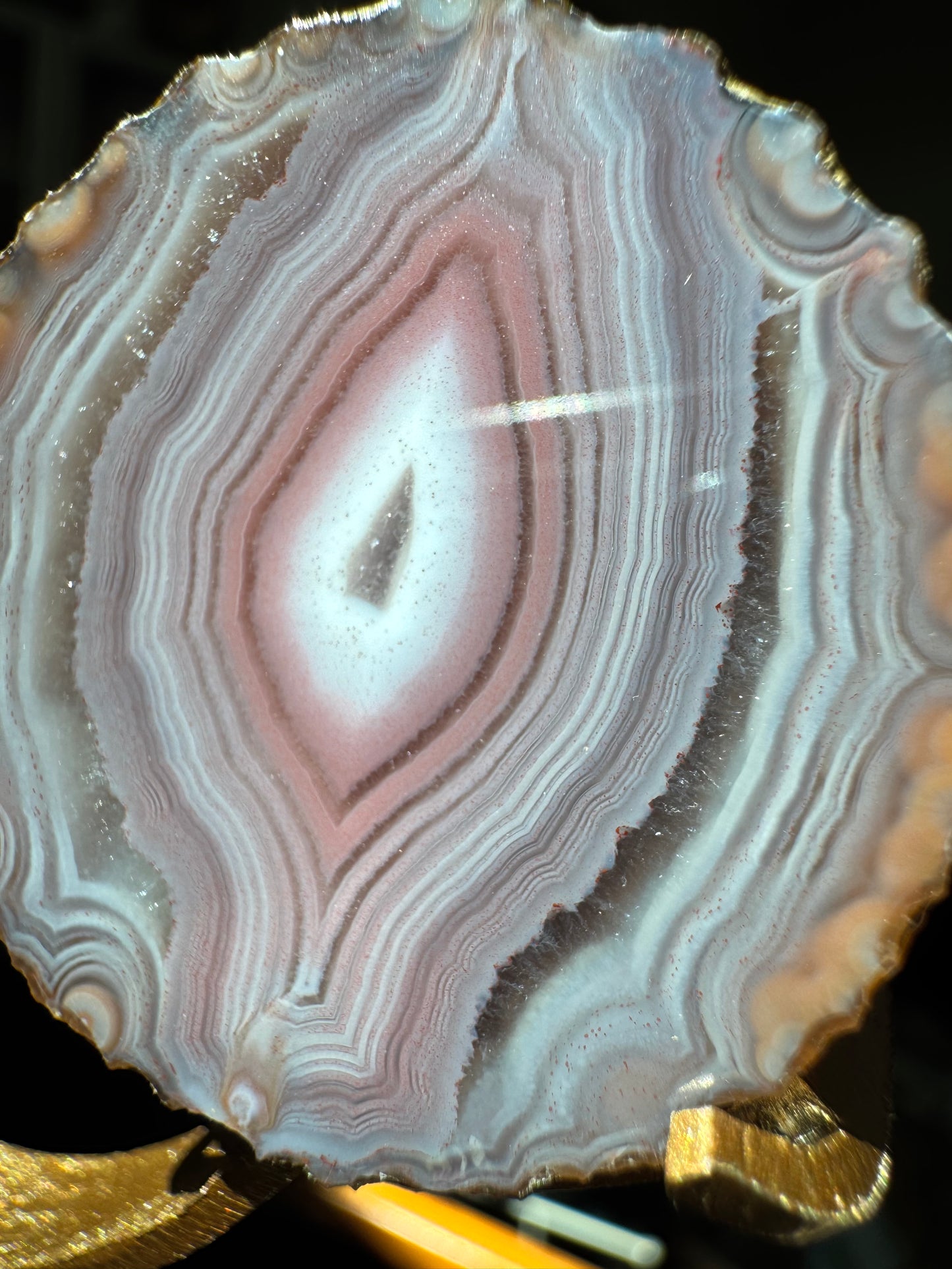 Zhanguo Agate Pairs on Stand