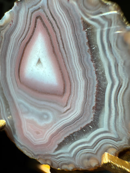 Zhanguo Agate Pairs on Stand
