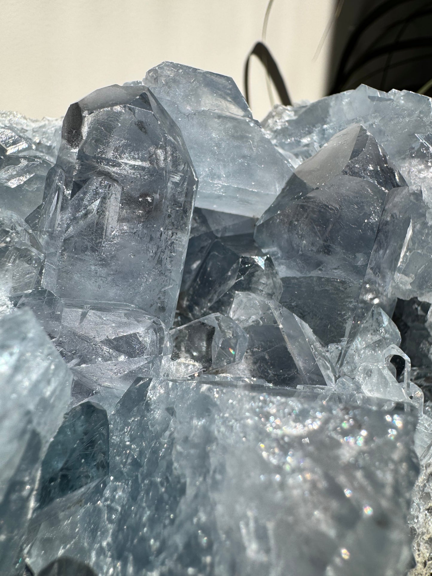 Celestite Cluster on Stand