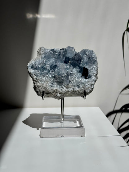 Celestite Cluster on Stand