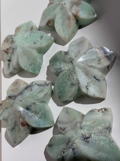 Chrysoprase Flower Carvings (A–E)