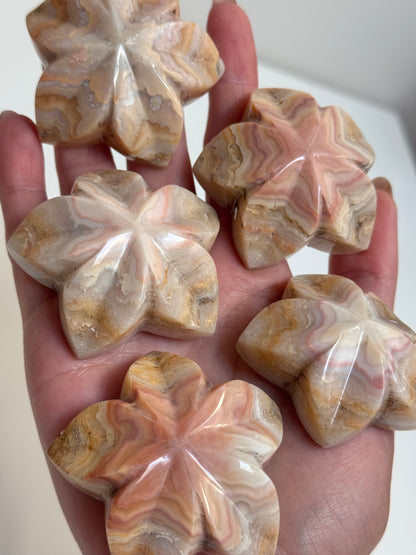 Pink Lace Agate Flower Carvings (A–E)