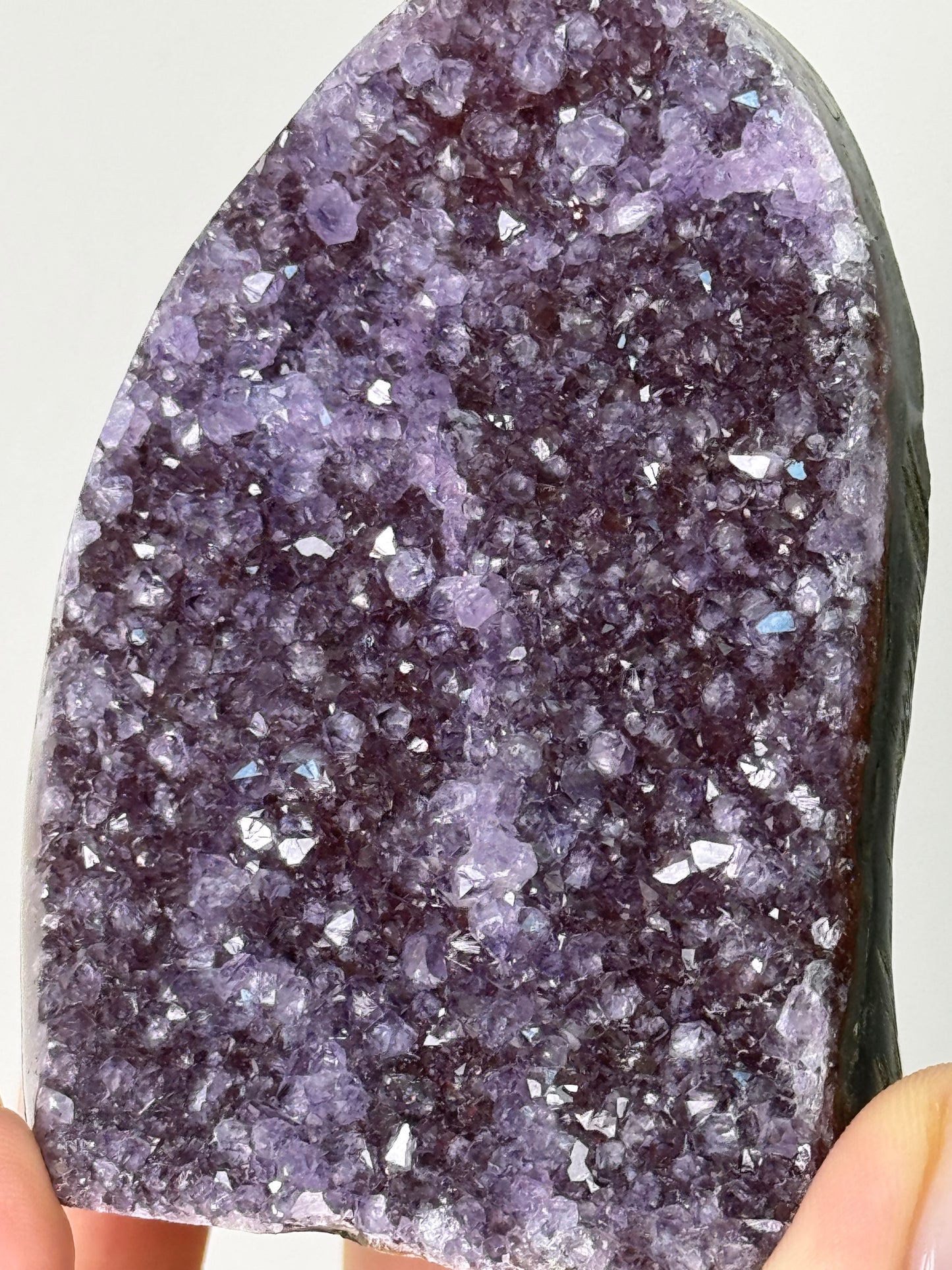 Amethyst Cutbase - Purple/Red