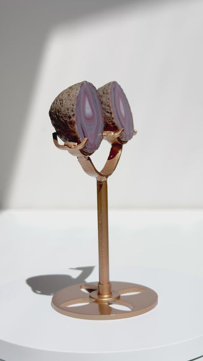 Zhanguo Agate Pairs on Stand