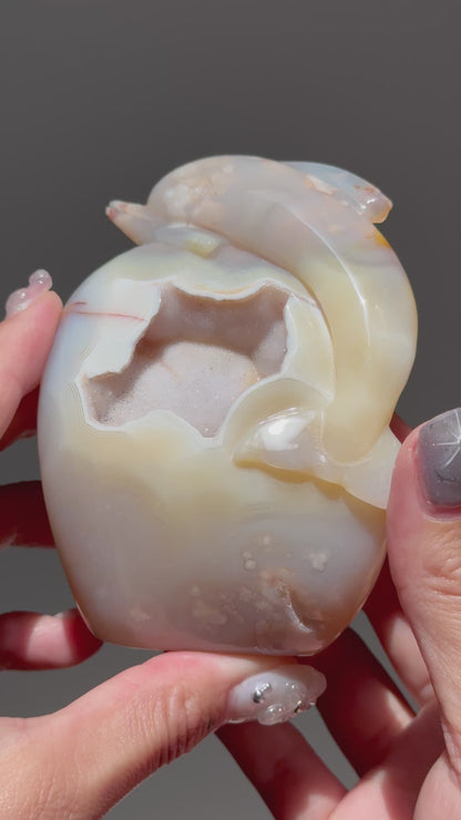 Sugar Druzy Flower Agate Dolphin